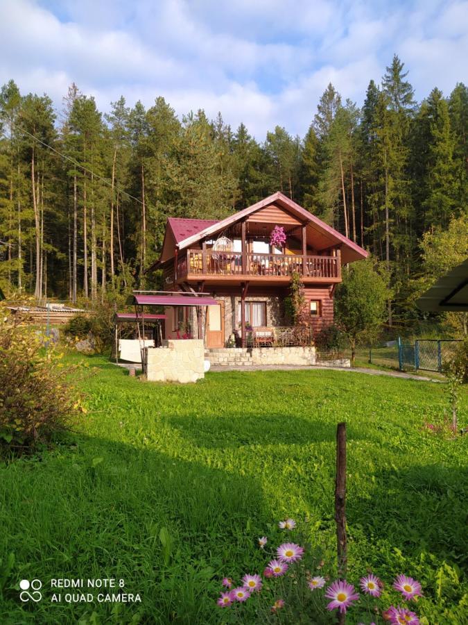 Лісова Казка Villa Yaremche Dış mekan fotoğraf