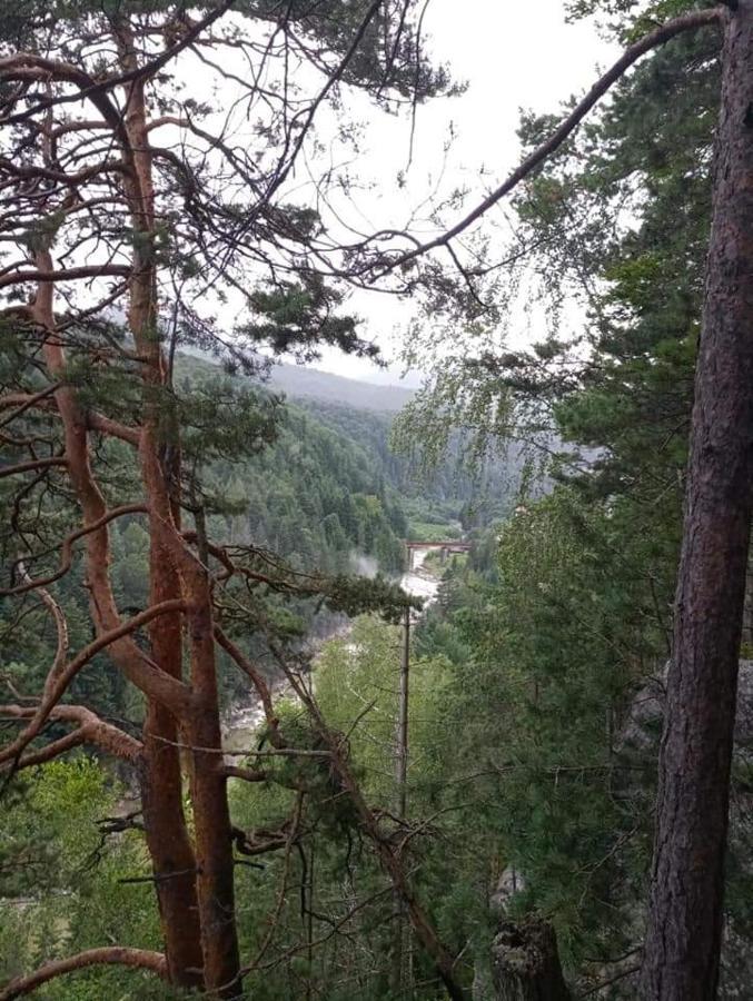 Лісова Казка Villa Yaremche Dış mekan fotoğraf
