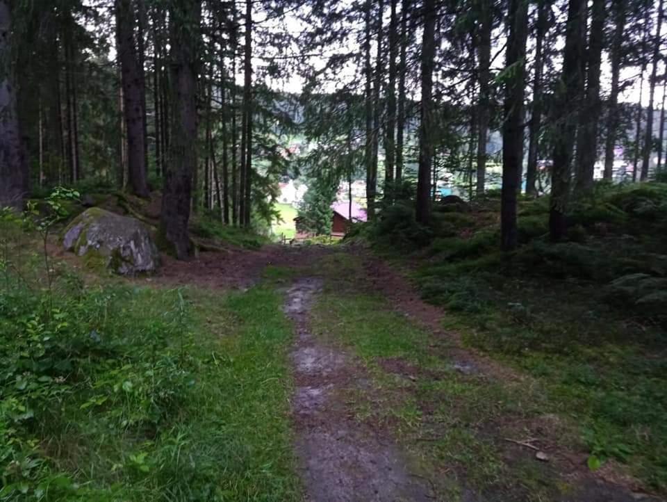 Лісова Казка Villa Yaremche Dış mekan fotoğraf