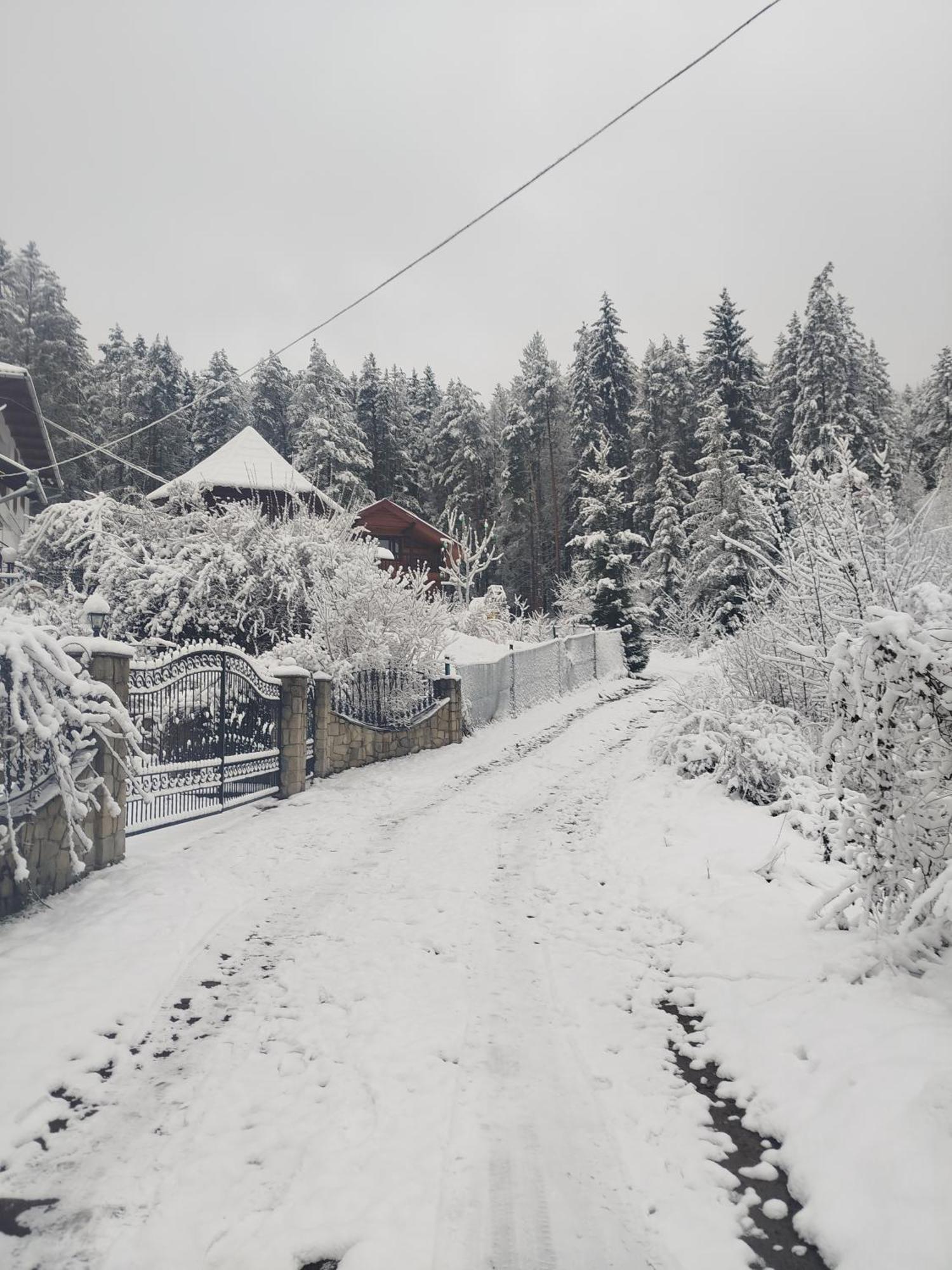Лісова Казка Villa Yaremche Dış mekan fotoğraf